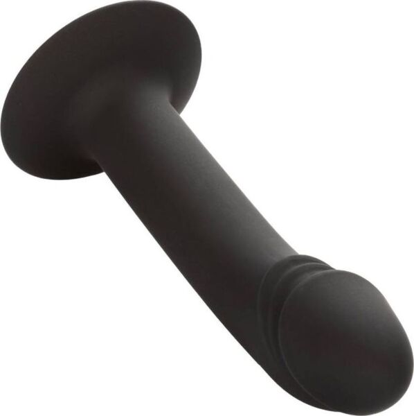 Dildo analne CalExotics Curved Anal Stud z wygiętą końcówką i podstawą z przyssawką