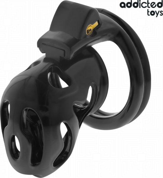 Klatka cnoty Addicted Toys Locked 8 cm z czterema pierścieniami i kluczami