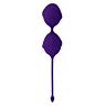 KarmyFit Fioletowy Kegel