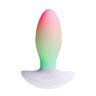 Wibrator Paradise Pleasure Products The Plug z RGB