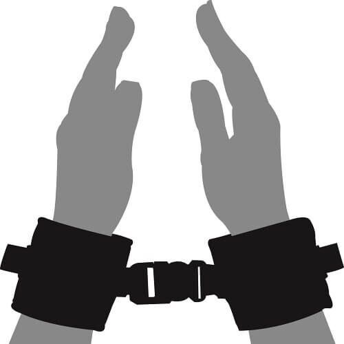 Restraints Loving Joy Beginners Wrist Restraints
