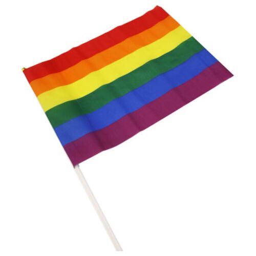 Banderín LGBT PRIDE - Duży rozmiar 43 x 31 cm