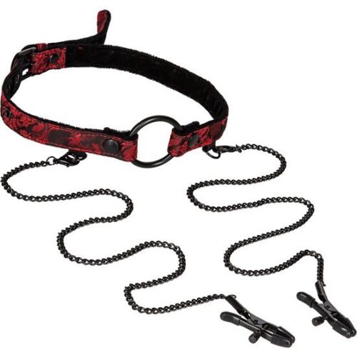 Mordaza bondage Scandal z pinzami dla intymnych doznań