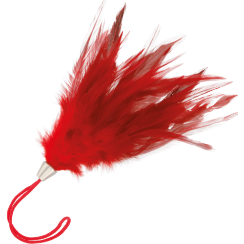 Pluma stymulująca DARKNESS 17CM do erotycznych zabaw