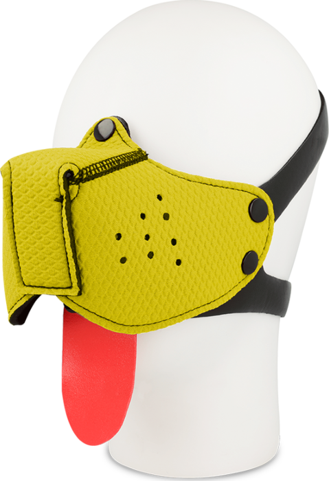 Kaganiec Żółty Ohmama Kaganiec Żółty Ohmama