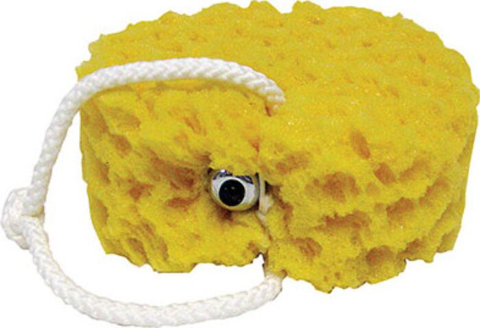 VIBRATING FOAM SEA SPONGE