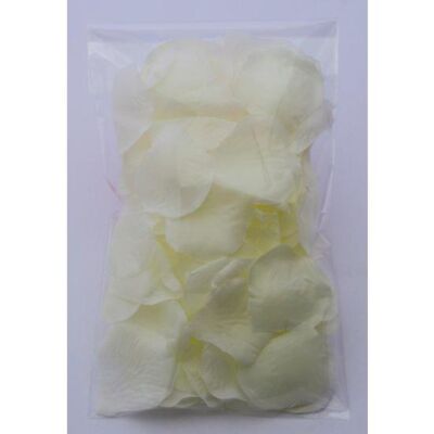 Biały Kwiatowy Zmysłowy